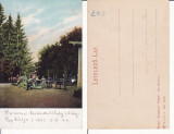 Brasov-Honterus- clasica, rara