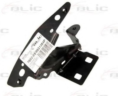 Set montaj, aripa laterala CITROEN C3 II (2009 - 2016) BLIC 7802-03-0531384P foto