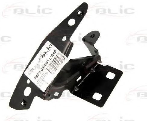 Set montaj, aripa laterala CITROEN C3 II (2009 - 2016) BLIC 7802-03-0531384P