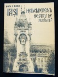 Buda S. Bujor - Iași, Heidelbergul nostru de altădată