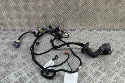 Cablaj ușă dreapta față PEUGEOT 407 Coupe 6C_ 2006 OEM: 9659703180 31189685 foto