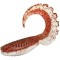 Grub Delphin Twista Uvs Deadsnow, 10cm, 5buc/pac