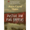 Pustiul Din Pine Barrent. Un Roman De Suspans, Joyce Carol Oates - Editura Curtea Veche