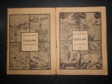 A. S. Goia - Focuri / Noduri 2 volume (1939)