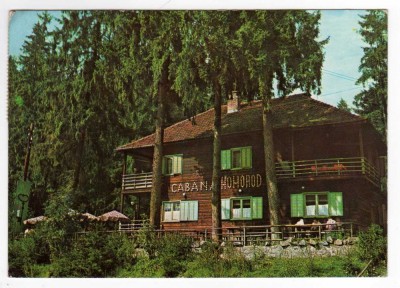 CABANA HOMOROD HARGHITA foto