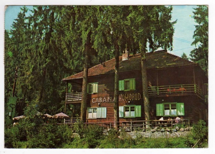 CABANA HOMOROD HARGHITA
