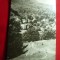 Ilustrata Olanesti - Vedere circulat cu tete-beche -fluturi- triunghiular1966