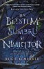 Un Blestem Sumbru si Nimicitor (Vol.1 Din Seria Distrugatorii De Blesteme), Brigid Kemmerer - Editura Corint