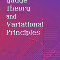 Gauge Theory and Variational Principles