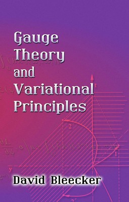 Gauge Theory and Variational Principles foto