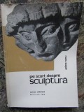 PE SCURT DESPRE SCULPTURA - ADINA NANU