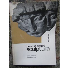 PE SCURT DESPRE SCULPTURA - ADINA NANU