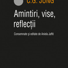 Amintiri, vise, reflectii (ebook)