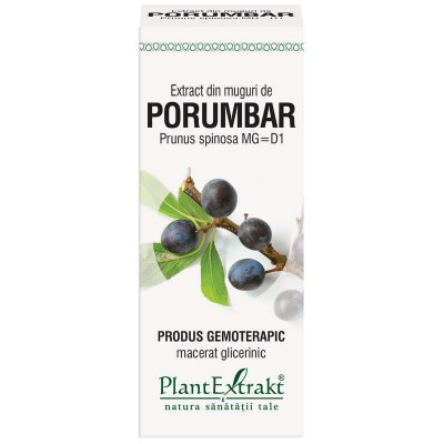 Extract Muguri Porumbar 50ml PlantExtrakt foto