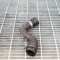Furtun radiator răcire dreapta AUDI A4 8K2, B8 2010 OEM: 8K0121101P 3046116
