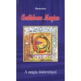 Archidoxa Magica - A m&aacute;gia őst&ouml;rv&eacute;nyei - Paracelsus