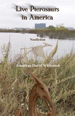 Live Pterosaurs in America: Not Extinct, Flying Creatures of Cryptozoology That Some Call Pterodactyls or Flying Dinosaurs or Prehistoric Birds foto
