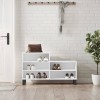 VidaXL Pantofar, alb, 102x36x60 cm, lemn compozit 831396
