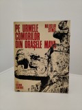 Pe urmele comorilor din orasele Maya - Miloslav Stingl