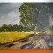 Drum de tara - ulei pe placaj semnat si datat 1943, pictura originala 60x46,5cm
