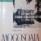 Radu Popa - Mogosoaia