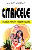 Citricele - Maurice Messegue