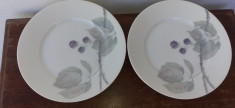 Set x 6 Farfurii Portelan Rosenthal Selb-Bavaria17,5 cm foto