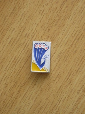 QW9 N3 81 - insigna - orase - Soci - Rusia foto