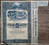 Actiuni IRDP, Industria Romana de Petrol 1924