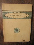 Bujoreștii - Caton Theodorian