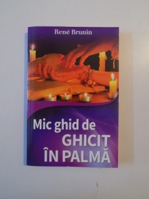 MIC GHID DE GHICIT IN PALMA de RENE BRUNIN , 2014 foto