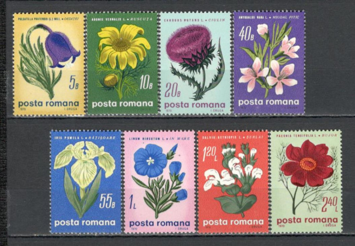 Romania.1970 Flori de stepa TR.293