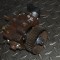 Pompa de combustibil CITRO&Euml;N C5 III RD_ 2010 OEM: Sedan | 12237130
