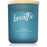 DW Home Zen Breathe lum&acirc;nare parfumată 113 g