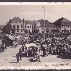 3768 - SEBES ALBA, Market, Romania - old postcard, real Photo - unused