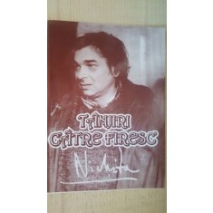 Tanjiri catre firesc- Nichita Stanescu