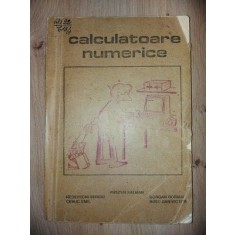 Calculatoare numerice- Pusztai Kalman, Nedevschi Sergiu