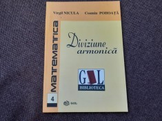 Virgil Nicula - Diviziune armonica