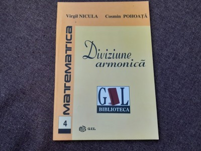 Virgil Nicula - Diviziune armonica foto