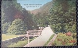 Carte Postala, Baile Slanic Moldova, spre izvorul nr.1, perioada interbelica