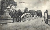 CP1113N T&acirc;rgul Jiu, Podul peste Jiu, carte poștală