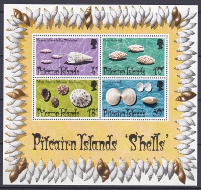 DB1 Fauna Marina Scoici Pitcairn 1974 MS MNH foto