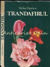 Trandafirul - Stelian Popescu foto