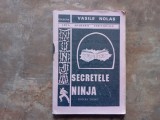 SECRETELE NINJA de VASILE NOLAS, 1993