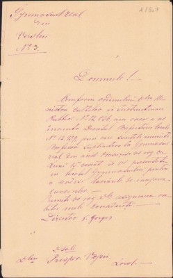 A2043 Confirmare &amp;icirc;n funcția de inginer al județului Vaslui, 1877 foto