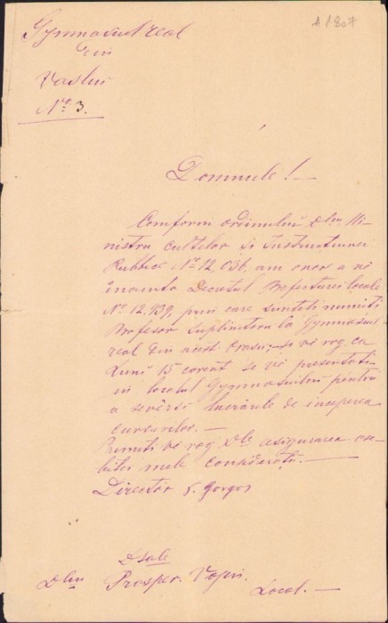 A2043 Confirmare &icirc;n funcția de inginer al județului Vaslui, 1877
