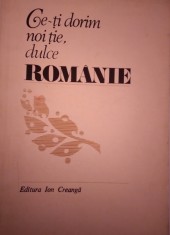 CE-TI DORIM NOI TIE, DULCE ROMANIE foto