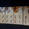 SET minicoli timbre albine 2010 lp 1854