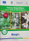 Padurea Mogos-Matele, aurul verde al Scanteiestiului - Padurea Mogos-Matele, aurul verde al Scanteiestiului