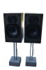 Boxe B&amp;W model DM 100